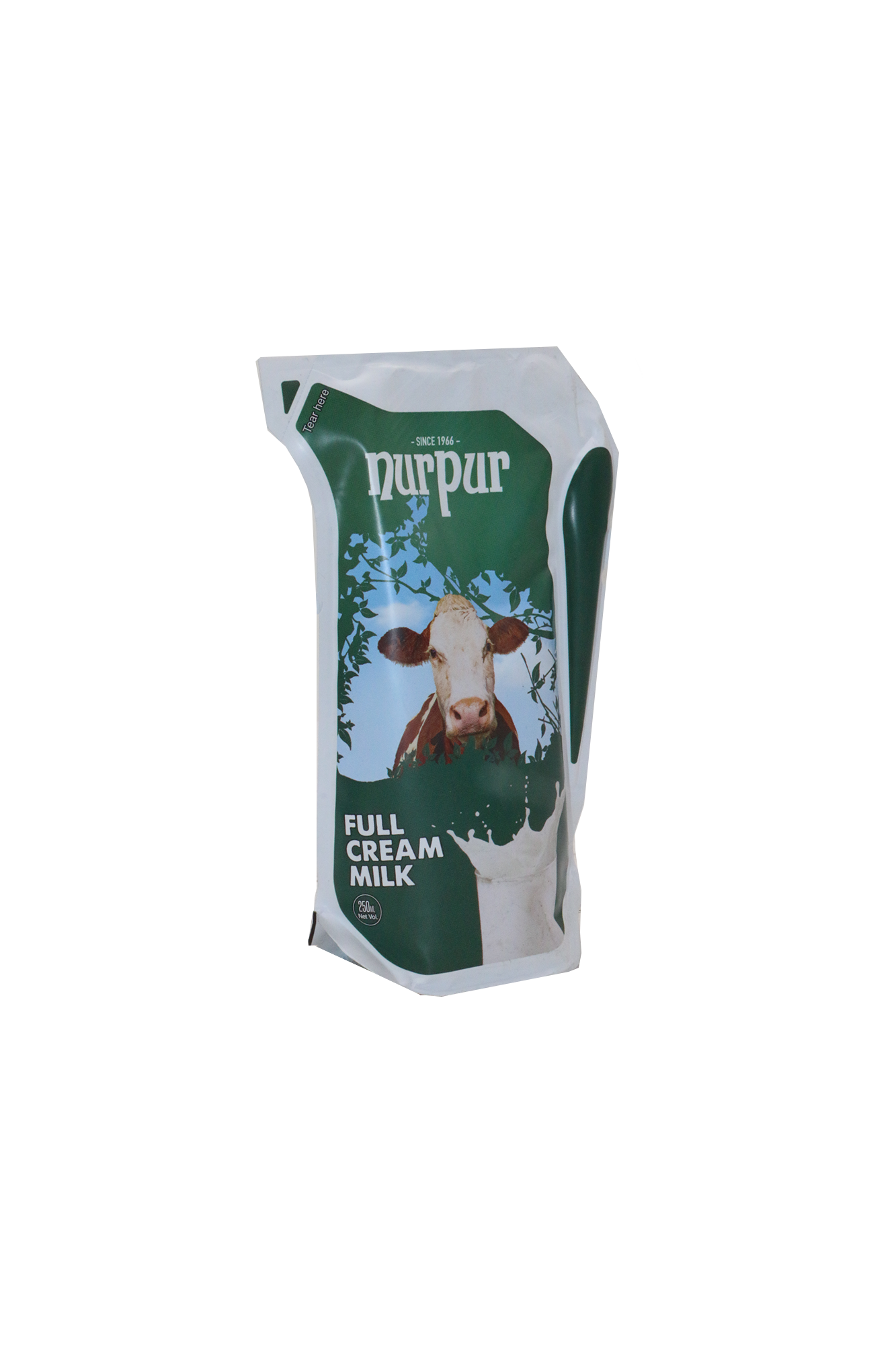 nurpur full cream milk 250ml